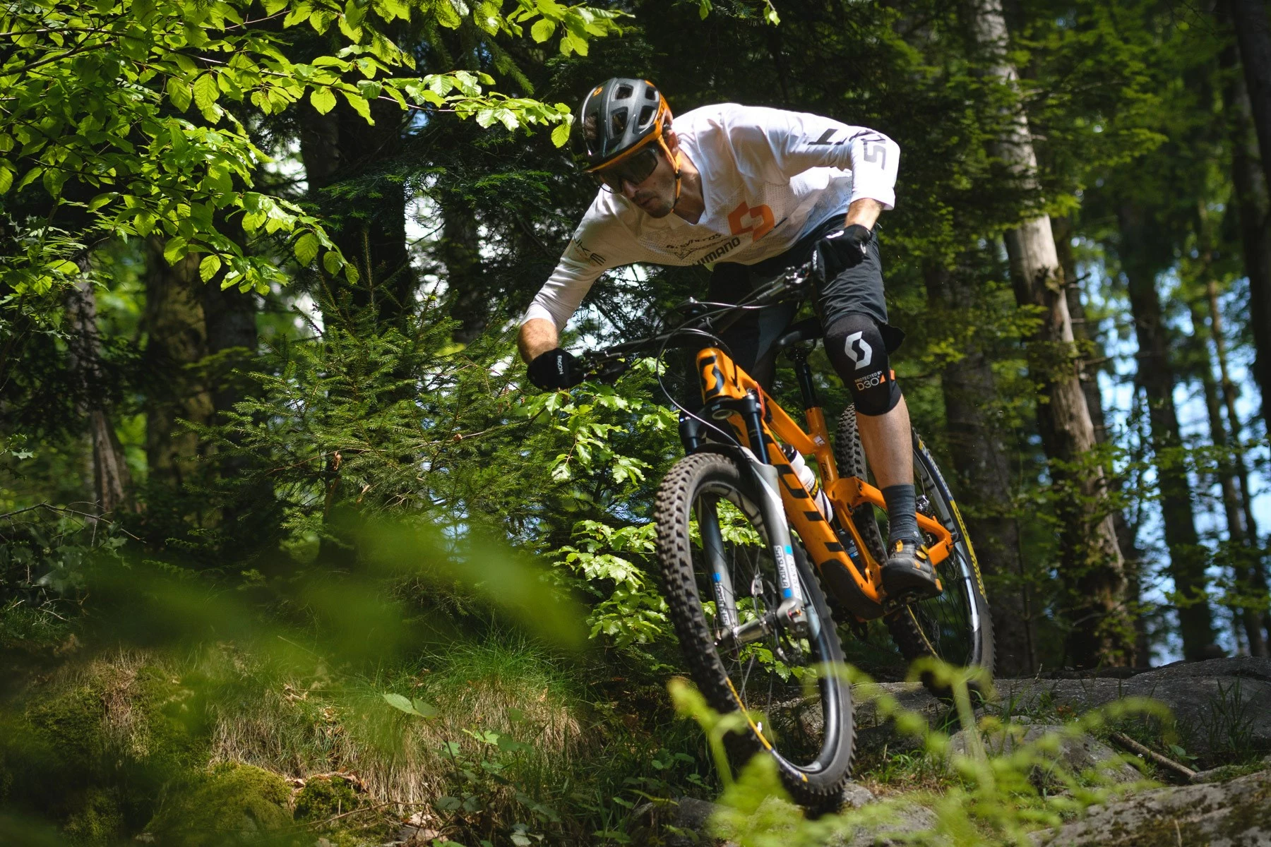 Prima pagina -Negozio al dettaglio Bici 110308765 10158222061580211 7269312108539038961 n